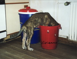 Vivianne, September 2002