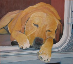 Sleeping Retriever (Oil)