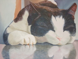 Sleeping cat (oil)